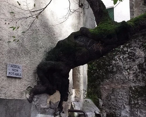 Curiosità su Bagnoli Irpino